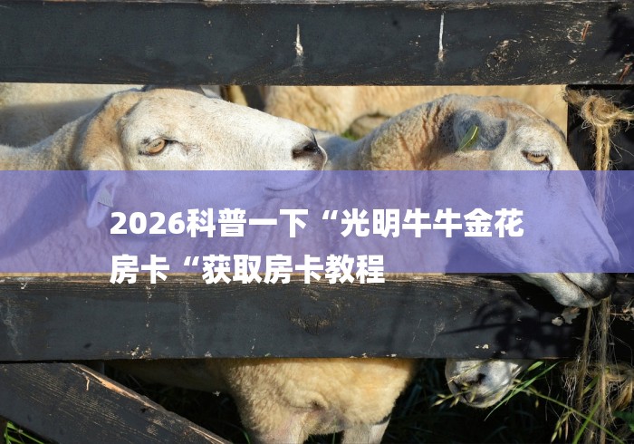 2026科普一下“光明牛牛金花
房卡“获取房卡教程