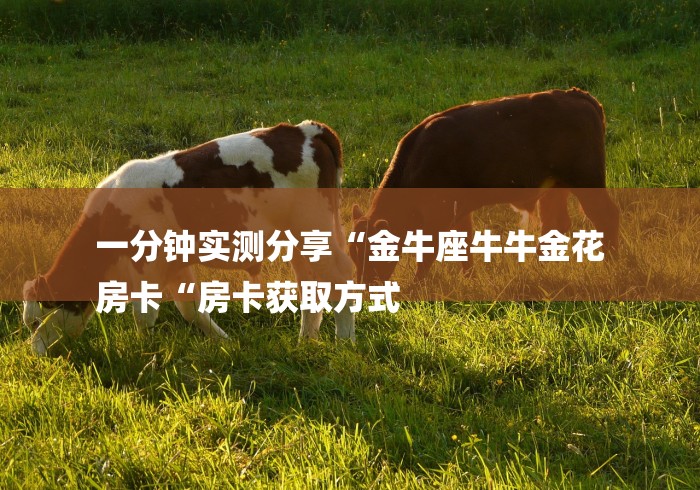 一分钟实测分享“金牛座牛牛金花
房卡“房卡获取方式 一分钟实测分享“金牛座牛牛金花
房卡“房卡获取方式