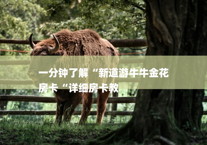 一分钟了解“新道游牛牛金花
房卡“详细房卡教 一分钟了解“新道游牛牛金花
房卡“详细房卡教