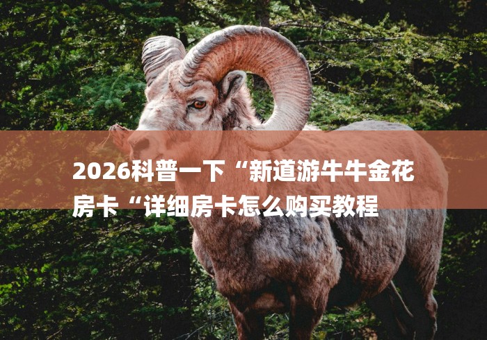 2026科普一下“新道游牛牛金花
房卡“详细房卡怎么购买教程