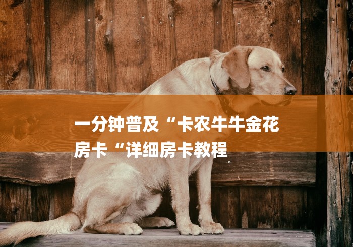 一分钟普及“卡农牛牛金花
房卡“详细房卡教程