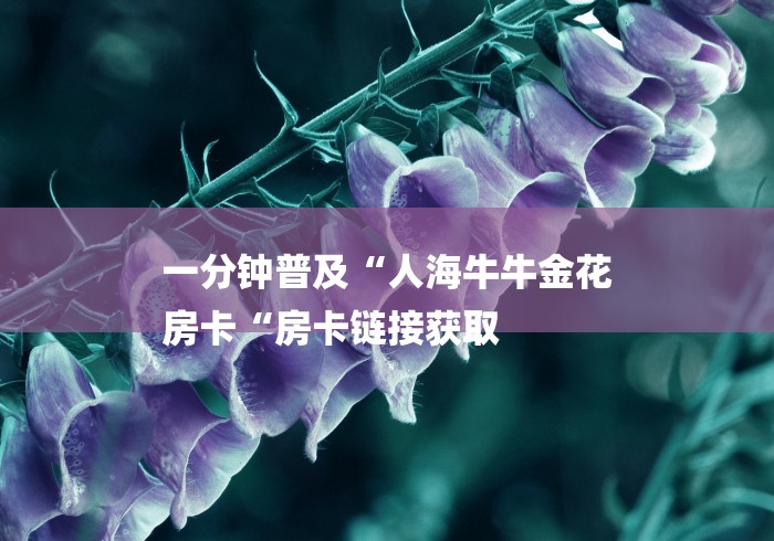 一分钟普及“人海牛牛金花
房卡“房卡链接获取