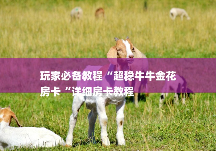 玩家必备教程“超稳牛牛金花
房卡“详细房卡教程