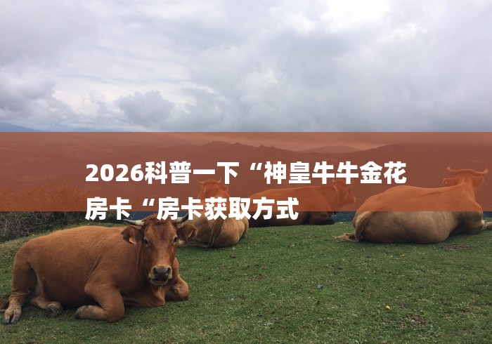 2026科普一下“神皇牛牛金花
房卡“房卡获取方式 