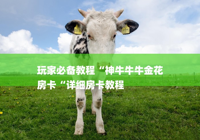 玩家必备教程“神牛牛牛金花
房卡“详细房卡教程 玩家必备教程“神牛牛牛金花
房卡“详细房卡教程