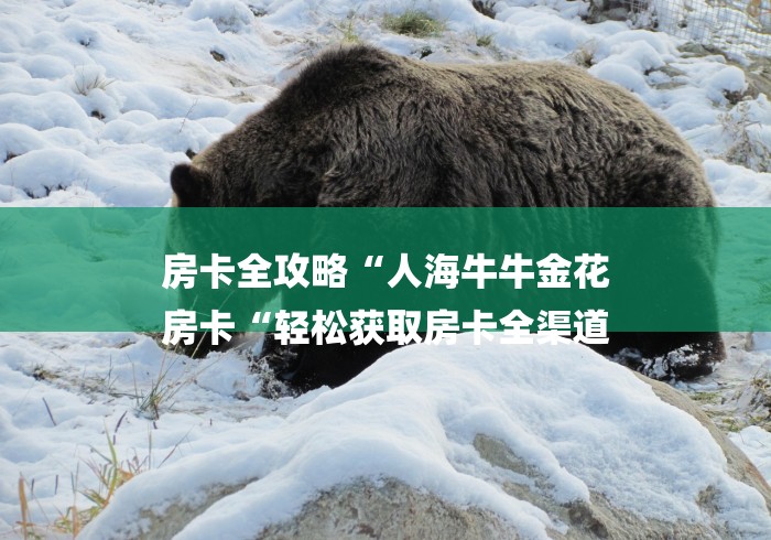 房卡全攻略“人海牛牛金花
房卡“轻松获取房卡全渠道